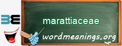 WordMeaning blackboard for marattiaceae